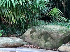 -融汇温泉