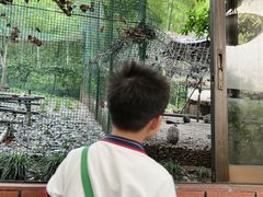 -杭州香格里拉·香宫中餐厅