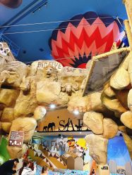 -卡通尼·Safari非洲探索乐园·生日会(金桥国际商业广场店)