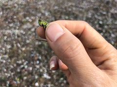 -白草畔自然风景区