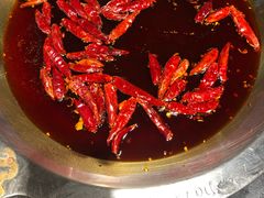 -大龙燚火锅(春熙店)
