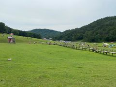-汤旺河林海奇石景区