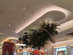 -Aqua Oasis 水天堂(太湖中心mall店)