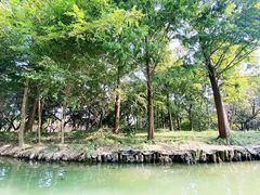 -西溪国家湿地公园