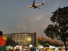 -宝安西湾红树林湿地公园