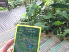 -呀诺达热带雨林