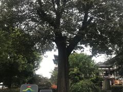 -东关历史文化旅游区-东门遗址