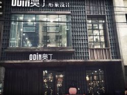 -ODIN 奥丁形象设计 