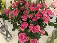 -摩登百货(岗顶店)