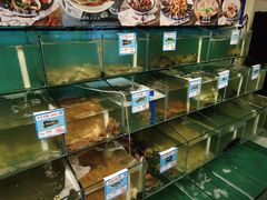 水产区-琼大师东方烤乳猪(亚特兰蒂斯店)
