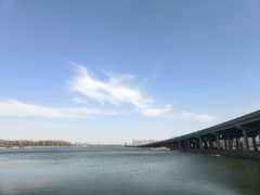 -丁香湖公园