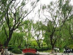 -玲珑塔公园