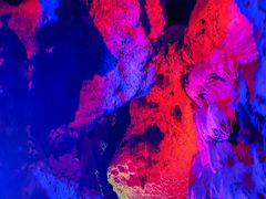 -寻龙山风景旅游区