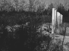 -济南国际园博园