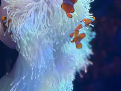 -沈阳海洋探索中心