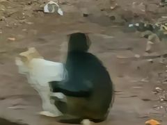 -昆明动物园