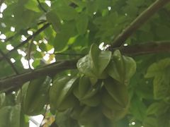 -南通洲际绿博园
