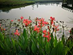 -眉山湿地公园(东坡区)