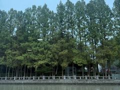 -运河游船(武林门码头)