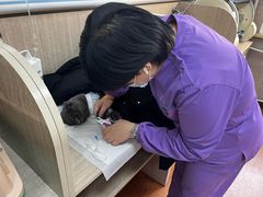 -北京观赏动物医院·24小时大型综合·猫专科·异宠专科