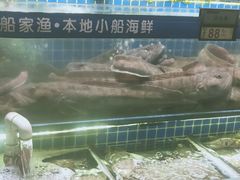 -船家渔(徐州北路店)