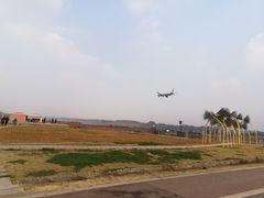 -空港花田景区
