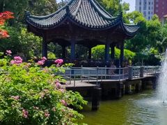 -申粤轩酒楼·三十年粤菜经典(丁香花园店)