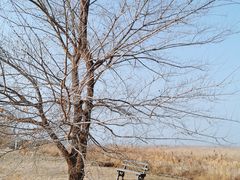 -野鸭湖国家湿地公园