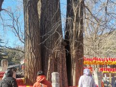 -潭柘寺景区