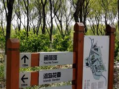 -东郊湿地公园