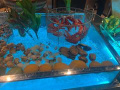 -广州万富希尔顿酒店·感趣自助餐厅·金秋蟹宴生蚝海鲜刺身烧烤