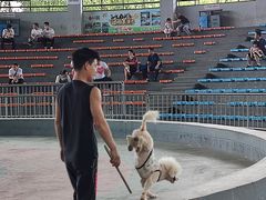 -辛玛王国游乐园