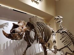 -国家自然博物馆