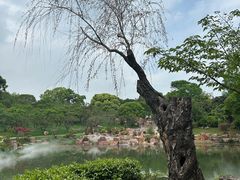-无锡梅园公园