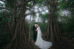 -1986婚纱摄影(清城店)