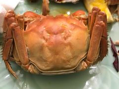 -梧桐花园餐厅(新城店)