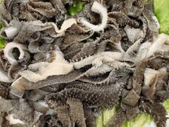 -百友顺涮肉城(故城东路店)