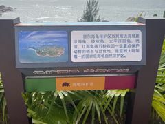 -广东惠东海龟国家级自然保护区