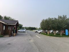 -天津东丽湖风景区