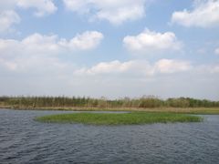 -溱湖国家湿地公园