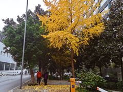 -重庆彩云湖湿地公园