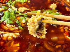 -重庆乌鱼庄·龙滋鲜(青羊大道店)