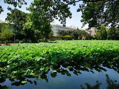 -西南交通大学(九里校区)