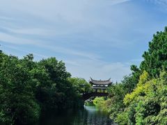 -三垟湿地