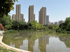 -木塔寺遗址生态公园