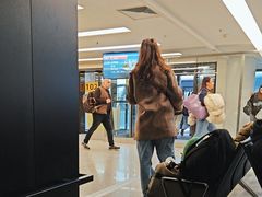 -谢列梅捷沃国际机场