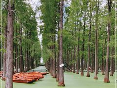 -渌洋湖湿地公园