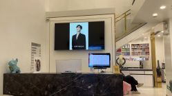 -YESIDO椰岛造型