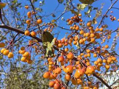 -元大都城垣遗址公园