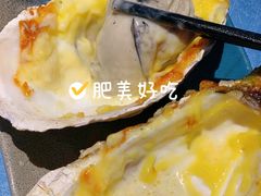 -千岛蚝高压锅生蚝·人参火锅(白云万达店)